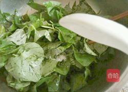 蒸红薯叶的做法图解6