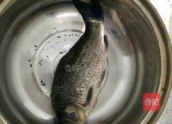 家常红烧鲫鱼的做法图解1