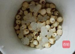 冰糖莲子的做法图解2