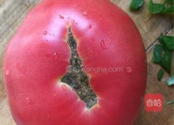 木耳番茄炒蛋的做法图解1