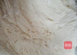 元葱猪肉馅饼的做法图解1