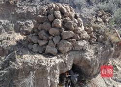 叫花鸡的做法图解3