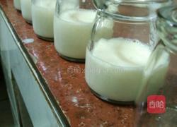 芝士布丁的做法图解5