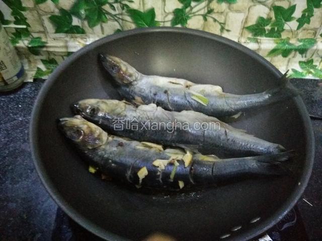 炒出香味以后把青鱼一条条的放进锅里煎制。