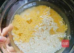 小米粥的做法图解2