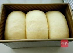 奶香土司（一次发酵法）的做法图解10