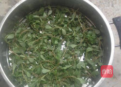 马齿苋窝窝的做法图解1