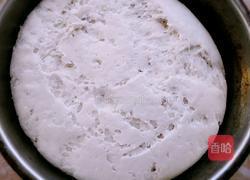 韭菜素馅包子的做法图解1