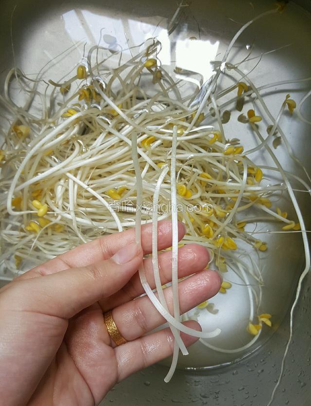 在鱼肉腌制的过程中先把豆芽洗干净，把尾端去除掉