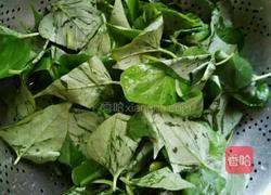 红薯叶馍的做法图解2