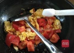 番茄炒蛋的做法图解9