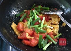 番茄炒蛋的做法图解10