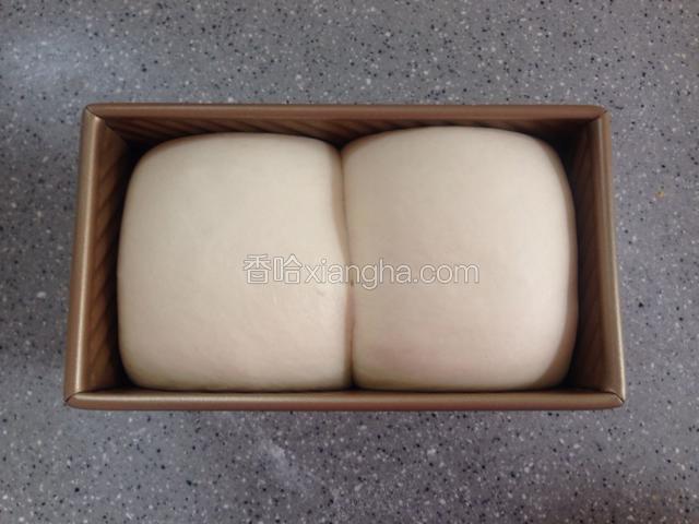 放在温暖湿润的地方发酵至八分满