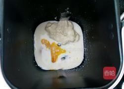 汤种椰蓉面包的做法图解3