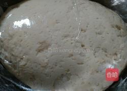 猪肉茴香馅包子的做法图解6