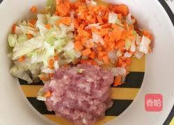 蔬菜瘦肉粥婴儿粥的做法图解1