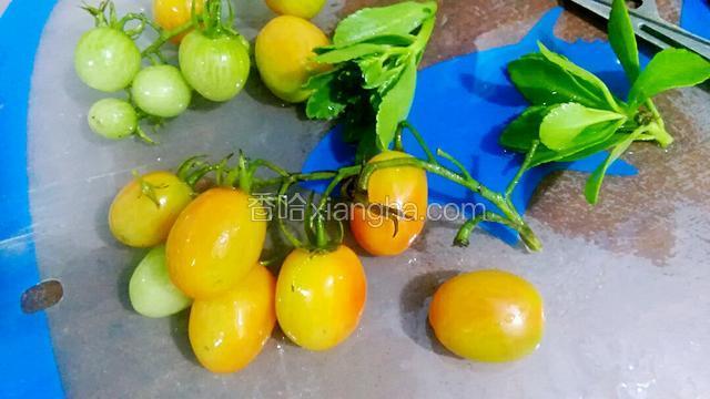 再准备点装饰食材（我家里只有西红柿和三七叶）