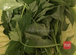 蒜香红薯叶的做法图解4