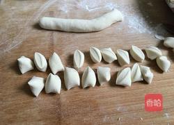 羊肉胡萝卜水饺的做法图解10