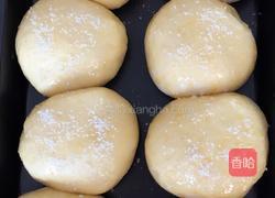 椰蓉豆浆小餐包的做法图解9