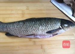 酸菜片片鱼的做法图解1