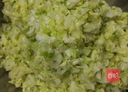 猪肉白菜锅贴的做法图解5