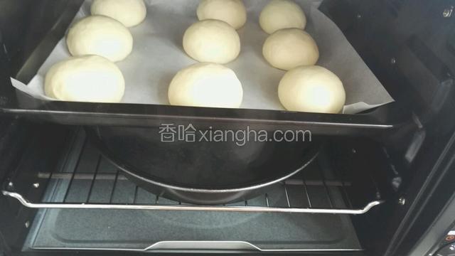 排气，分成九份，醒二十分钟，整形放入铺好油纸的烤盘里。放进烤箱里，下面放一碗热水发酵五十分钟左右。