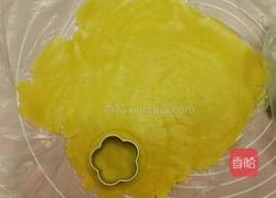 双色梅花小饼的做法图解8