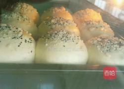 七彩蜜豆小餐包的做法图解11