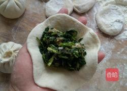 葱苗猪肉馅包子的做法图解6