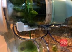 花样蒸饺的做法图解2