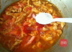 西红柿里脊的做法图解10