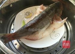 清蒸鲈鱼的做法图解4