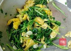 香菜鸡蛋～家常菜的做法图解7