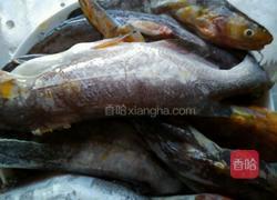 油炸黄辣丁的做法图解2