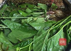 田基黄凉茶煲的做法图解1