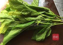 田基黄凉茶煲的做法图解3