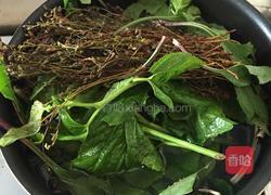 田基黄凉茶煲的做法图解5