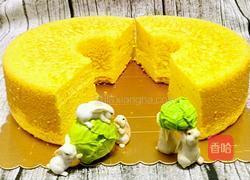 南瓜戚风蛋糕8寸的做法图解26
