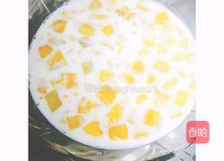 芒果椰汁冻的做法图解7