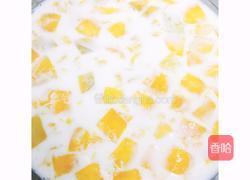 芒果椰汁冻的做法图解8