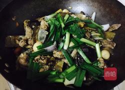 甲鱼烧排骨的做法图解5