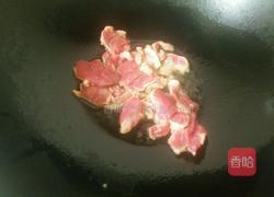 白萝卜炖羊肉的做法图解6