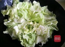 香辣手撕包菜的做法图解7