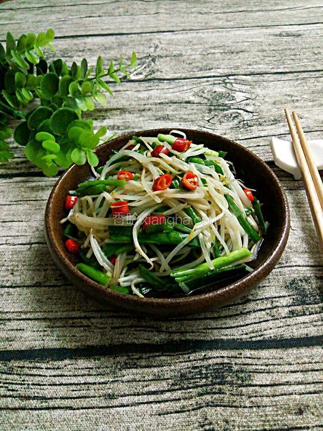 绿豆芽炒韭菜