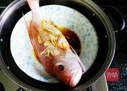 清蒸鲢鱼的做法图解2