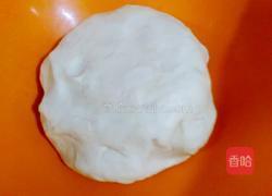 白萝卜鲜肉饺子（白萝卜可是美容的哦）的做法图解14