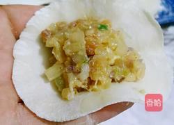 白萝卜鲜肉饺子(白萝卜可是美容的哦)的做法图解19