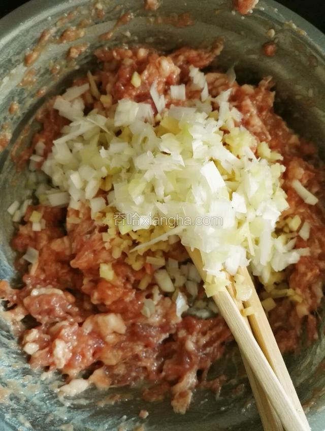 把切好的葱姜末放入肉馅继续搅拌