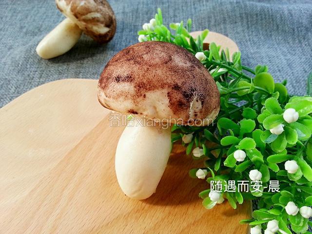 来张近照